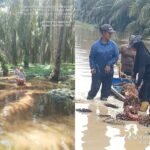 Diduga Terapkan Pola “Perbudakan”.